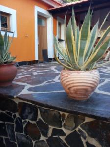 Φωτογραφία από το άλμπουμ του Your Idyllic Countryside Getaway σε Σερτάν