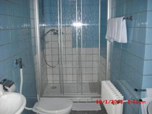 a bathroom with a shower and a toilet and a sink at Hotel Feilen-Wolff in Trier