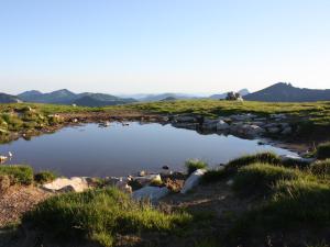 Paisaje cerca de este apartamento