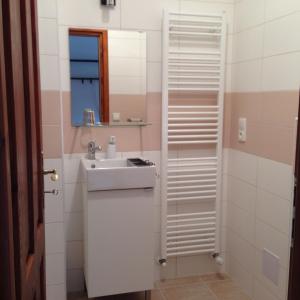 Koupelna v ubytování Apartment Vlčice u Trutnova