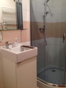 Koupelna v ubytování Apartment Vlčice u Trutnova + 37 fotografií