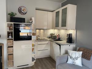 a small kitchen with white cabinets and a sink at Villa Parkblick Wohnung 2 in Oberhof