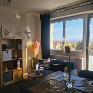 Una sala de estar con un sofá y una ventana grande. en Studio KAAN avec terasse 5mn Basel Airport, en Saint-Louis