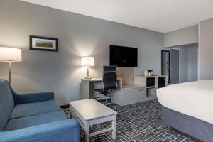 TV a/nebo společenská místnost v ubytování Comfort Inn Hyannis - Cape Cod