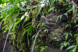 Giardino di The Macaw Ubud Green Uma Villa