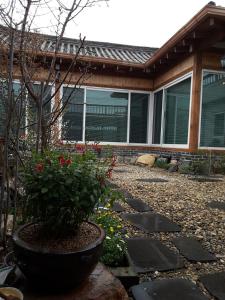 einen Garten mit Topfpflanze vor einem Haus in der Unterkunft Yettle Hanok Stay in Gyeongju