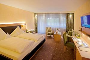 TV a/nebo společenská místnost v ubytování Hotel Waldlust