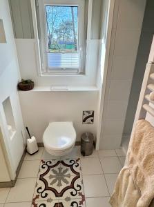 a bathroom with a toilet and a window at Meridiamus 2 - Ferienhäuschen in Boddennähe in Ribnitz-Damgarten +14 photos