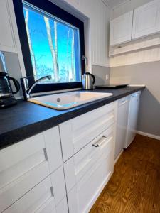 a kitchen with a sink and a window at Meridiamus 2 - Ferienhäuschen in Boddennähe in Ribnitz-Damgarten