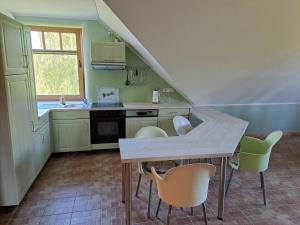 a kitchen with green walls and a table and chairs at Naturhof-Goldbeck in Klütz