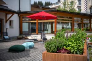 Vrt pred nastanitvijo Hotel Schweizerhof Lenzerheide