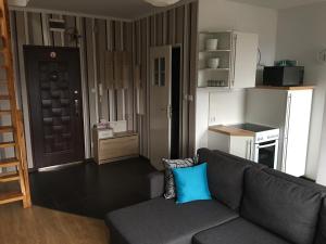 a living room with a gray couch with a blue pillow at Apartament Slupsk in Słupsk