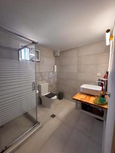 a bathroom with a shower and a sink and a toilet at Bebis House in Prosílion +51 photos