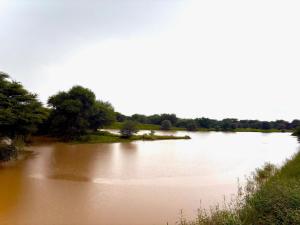 Fotografie z fotogalerie ubytování Ndefu Self Catering Accommodation v destinaci Otjiwarongo