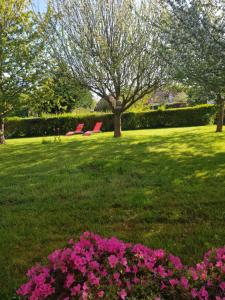 two red chairs in a park with pink flowers at hébergements proche pole européen du cheval et du circuit des 24h in Yvré-lʼÉvêque +7 photos