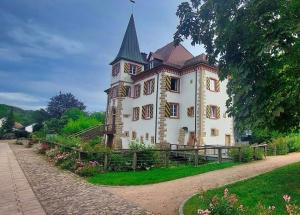 a large building with a tower on top of it at Endes Dreiseithof - Apartment in Schliengen
