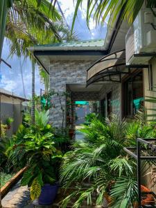 a house with a bunch of plants in front of it at Elegant Bon Vivant Residence in Livingstone