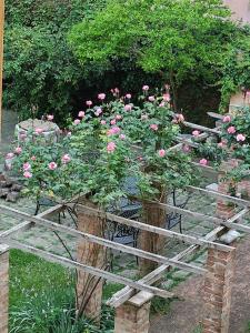 A garden outside B&b Vista sul Canal Grande