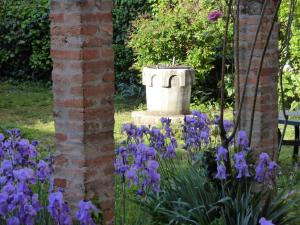 A garden outside B&b Vista sul Canal Grande