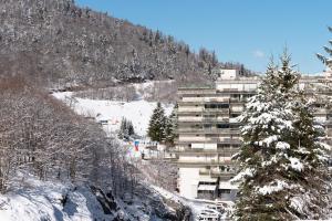 a large building on a snowy hill with a tree at Gourette - Au pieds des pistes in Eaux-Bonnes