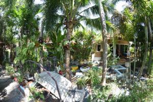a garden with palm trees and a house at Sanuk bungalows in Rawai Beach