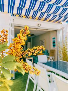 un gruppo di sedie bianche e un ombrello blu e bianco di Ulises La Perla a Calahonda