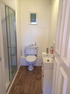 a bathroom with a toilet and a shower and a sink at The Bamburgh Bolthole in Bamburgh
