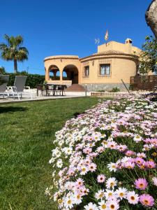 a field of flowers in front of a house at Laguna del Flamenco in Torrevieja
