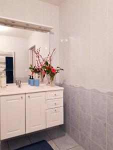 une salle de bain avec un lavabo et un miroir dans l'établissement Gite Mont Saint Michel Chez Pépé Lucien, à La Gohannière 26 autres photos
