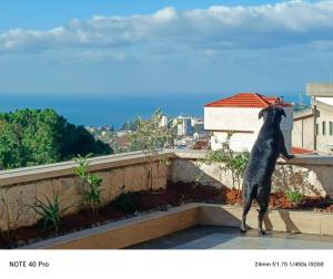 a dog standing on its hind legs on top of a balcony at Cozy Quiet escape from the City in Fatqā