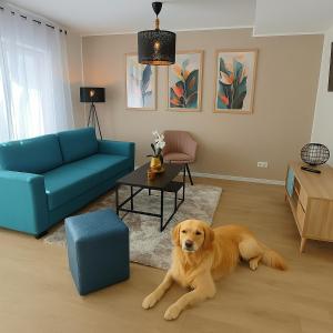 Χώρος καθιστικού στο ELApart by Homely Stay - Moderne Apartments direkt im Stadtzentrum mit Self-Check-in