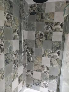 a shower in a bathroom with a tiled wall at le lubermiga in Wimille
