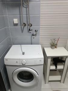 ニシュにあるCentral Parkのランドリールーム(洗濯機、テーブル付)