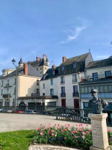 a statue in the middle of a town with buildings at Vue incroyable Loire et Chateau in Amboise