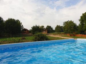 a large swimming pool with a house in the background at w Niesiołowie in Chodecz
