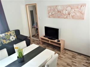 Televízia a/alebo spoločenská miestnosť v ubytovaní Apartment Karlito