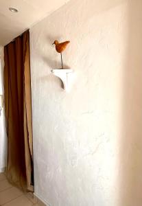 a bird sitting on a shelf on a wall at Carnon vue mer, charmant studio plages clim restaurants commerces in Mauguio