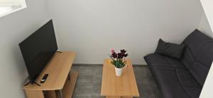 Una sala de estar con un sofá y un televisor. en Duplex 2 chambres avec extérieur, en Suze-la-Rousse