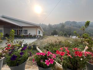 a group of potted flowers in front of a house at Avongrove Tea Boutique Bungalows By Mount Hotels in Mirik +26 photos