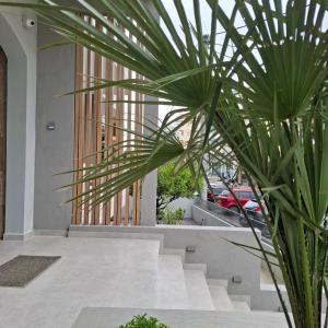 a palm tree in front of a building at Mardinik Hotel Apartments in Rethymno