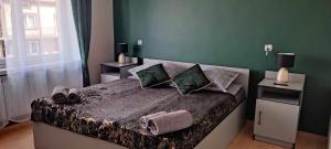 a bedroom with a large bed with green walls at Hostel Texas Queen in Suwałki