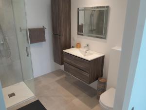 a bathroom with a sink and a shower at MAISON au calme en pleine nature 2 PERSONNES in Fayence +3 photos