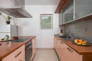 Kuchyň nebo kuchyňský kout v ubytování Vila Lux 1
