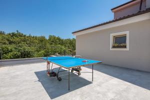 Stolní tenis v ubytování Vila Lux 1 nebo okolí