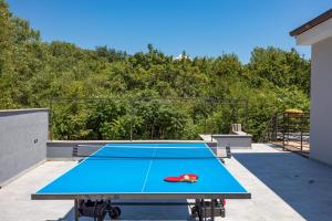 Stolní tenis v ubytování Vila Lux 1 nebo okolí