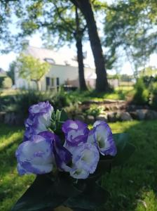 Vonkajšia záhrada v ubytovaní Le Tigîte B&B, Suite autonome avec entrée indépendante, petit-déj et linge fourni, pour 1 à 4p -Queen size et canapé lit double-