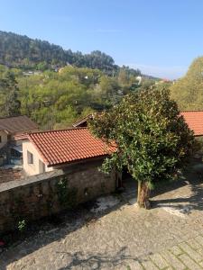 Lanskap alam di dekat bed & breakfast