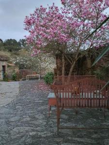 Kebun di luar Hotel Rústico San Jaime