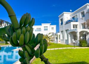 Baseinas apgyvendinimo įstaigoje Garden Loft with Pool in Alsancak Kyrenia by HolidayKeys arba netoliese
