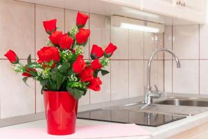 a red vase filled with red roses on a kitchen counter at Apartman Dinko in Bol +48 photos